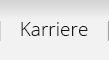 Karriere